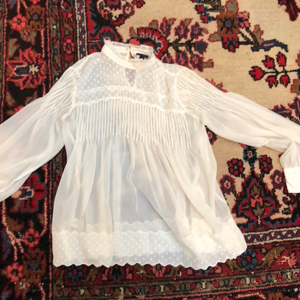 Sheer Ann Taylor blouse